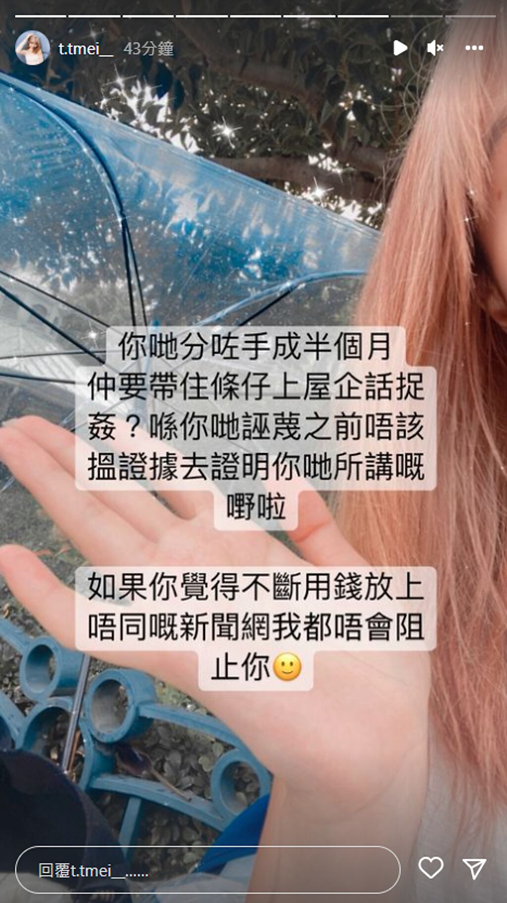 雪梨发文回呛对方。 (图/FB@ t.tmei__)