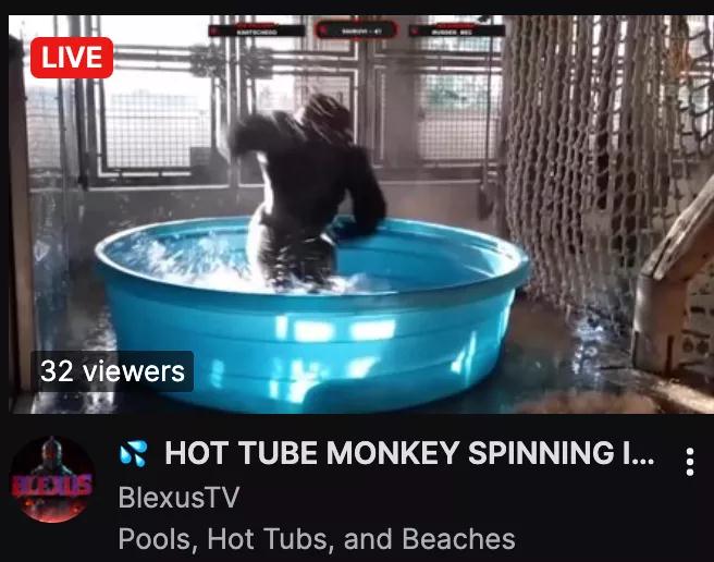 1630490137495012552.jpg 0210823174738.jpg